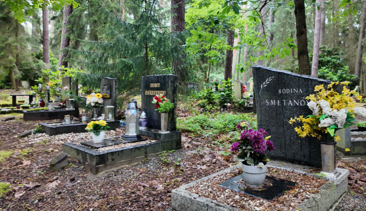 Lesní hřbitov zkoumá půdu pro nové hroby. Vodní zdroje pomohli odhalit studnaři