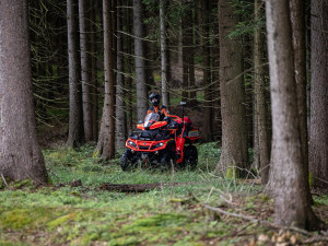 Záchrana ve větvích Orlických hor: Hasiči lezci nasadili lana i novou šestikolku