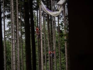 Záchrana ve větvích Orlických hor: Hasiči lezci nasadili lana i novou šestikolku
