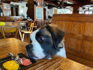 Luční bouda v omezené míře zpřístupní restauraci nejen ubytovaným