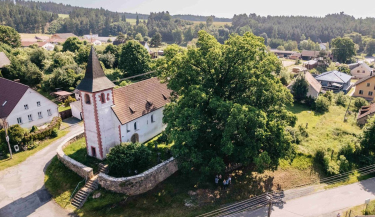 Pamatuje ještě třicetiletou válku. Kostelní dub teď usiluje o cenu v anketě Strom roku