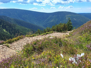 ANKETA: Turisté za sebou nechávají odpadkovou spoušť, těm slušným to otráví výlet