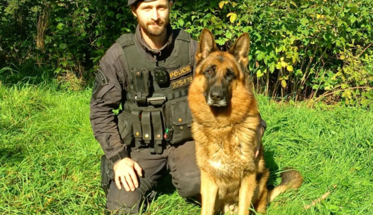 Psovod a pes Sancho v akci: Žena v Trutnově se služebního psa lekla a vzdala se