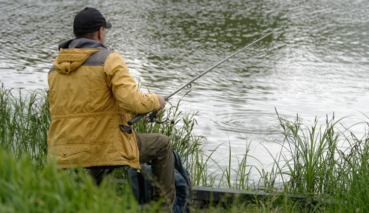 Kulturní tipy: Lidé v Jihlavě si půjdou zaběhat, v Třešti pořádají rybářské závody