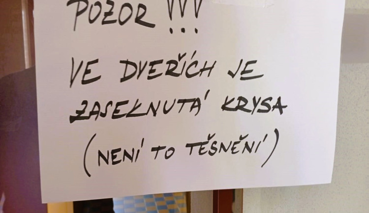 Pozor, ve dveřích je zaseknutá krysa, hlásila cedule. Zasáhnout museli hasiči