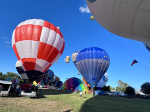 Zvířata se mohou bát horkovzdušných balonů. Hradecký zastupitel varuje před plašením koní