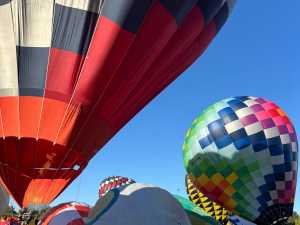 Zvířata se mohou bát horkovzdušných balonů. Hradecký zastupitel varuje před plašením koní