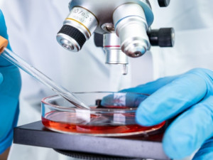 Biologická léčba rakoviny dostupná i v Trutnově. Nemocnice rozšířila péči