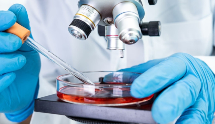 Biologická léčba rakoviny dostupná i v Trutnově. Nemocnice rozšířila péči