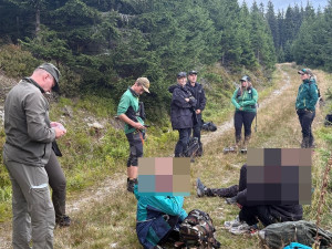 Krkonoše zase ohrožují sběrači borůvek, berou útokem zakázané zóny