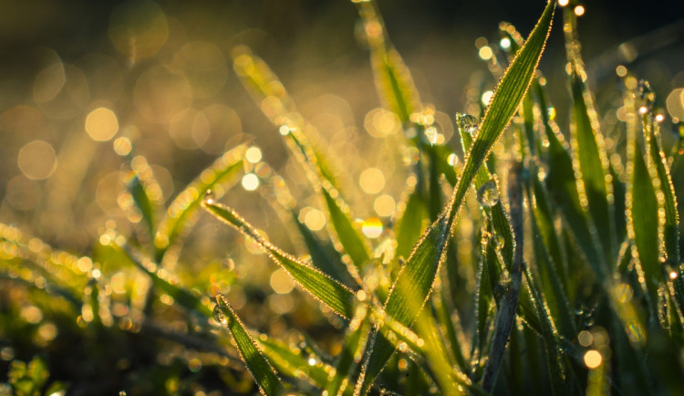 Během víkendu se do Libereckého kraje vrátí léto. Teploty vyšplhají na 28 stupňů
