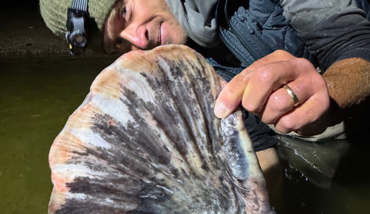 Rybář Vágner ulovil na Vranově dalšího macka, tentokrát měří hned 255 centimetrů