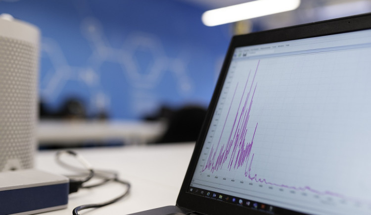 Jak kasina využívají data pro personalizovaný herní zážitek