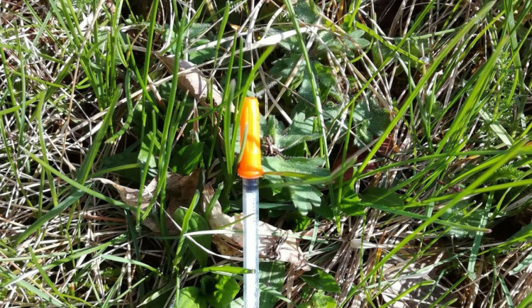 World Cleanup Day. Co dělat, když najdete injekční stříkačku?