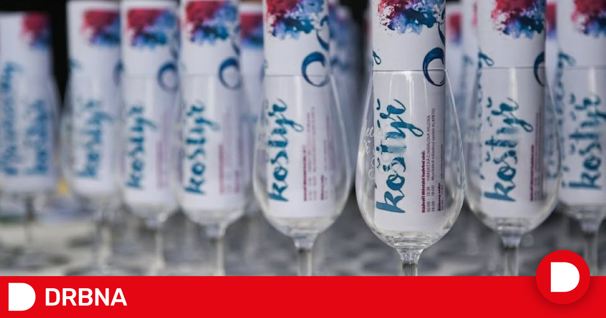 Hradec Králové Weekend: Sports & Cleanup Events