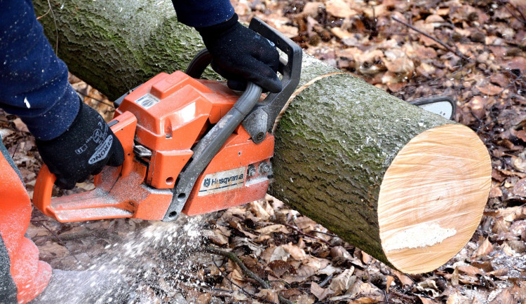Karlovarský kraj přispěje lesnické škole ve Žluticích na nový autobus