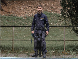 Policejní pes odhalil lháře, který řídil bez papírů. Hrozí mu vězení