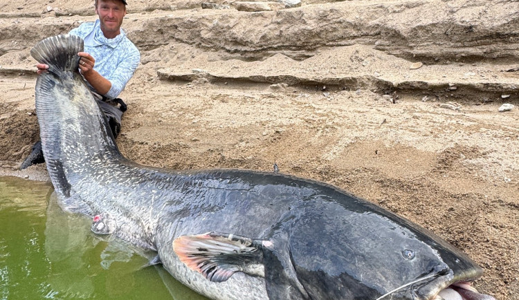 Nejdřív jeseter, teď obří sumec. Jakub Vágner si na Orlíku zapsal další parádní úlovek