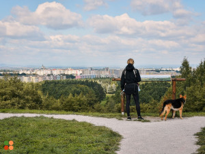 Vyhlídka Rozárka má nový kabát. Technické služby dokončily další projekt z participativního rozpočtu