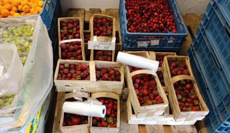 Polské jahody byly plné pesticidů. Limit překročily jedenáctkrát