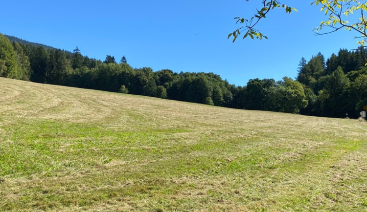 KRNAP ochránil cenné louky na východním okraji Černého Dolu. Apartmány mají stopku