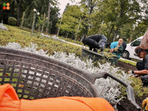 Záhony v Hradci Králové se chystají na příští sezonu. Ta letošní pomalu končí