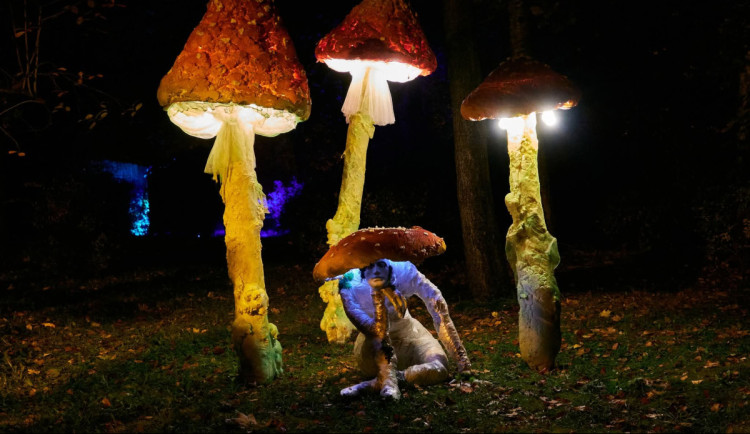 Zoo bude o víkendu strašidelná, návštěvníkům se otevře i ve večerních hodinách