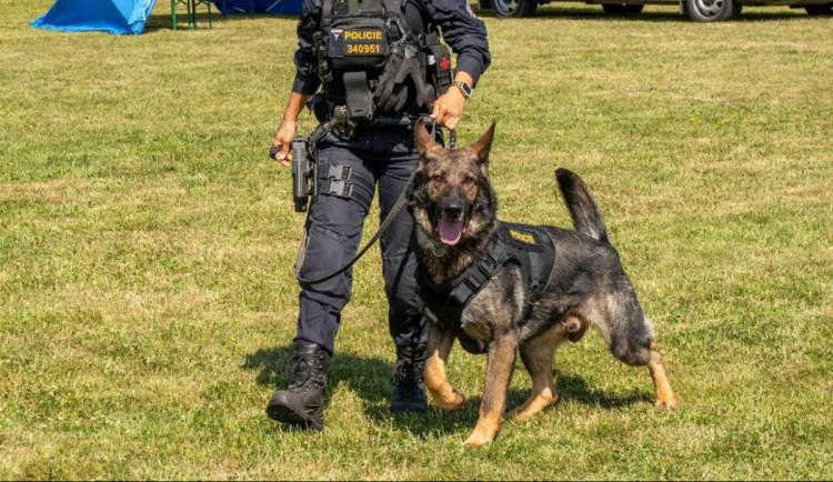 Seniorka byla v lese jen v noční košili a bez bot. Vypátral ji policejní pes