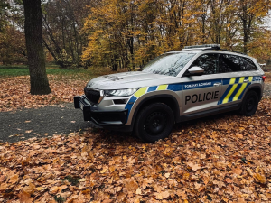 Rychlý zásah policie v Náchodě zastavil podvodníka. Seniorka málem přišla o 400 tisíc korun