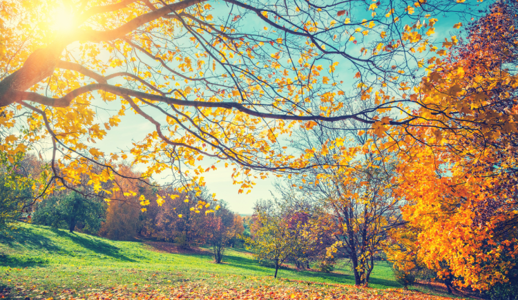 Během víkendu naměříme na východě Čech až 14 stupňů. Dešťové přeháňky dorazí v neděli