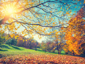 Během víkendu naměříme na východě Čech až 14 stupňů. Dešťové přeháňky dorazí v neděli