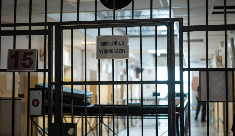 V dubnu okradl v Mimoni zraněnou seniorku, teď si vyslechl rozsudek. 11 měsíců vězení