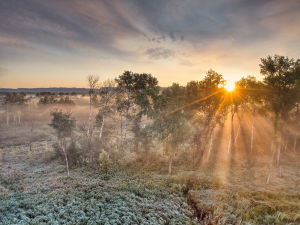Předpověď počasí: Chladný víkend, čekají nás mlhy a mrholení