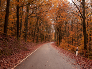 Podzim udeří v plné síle. Tento týden budeme potřebovat deštníky i teplé oblečení