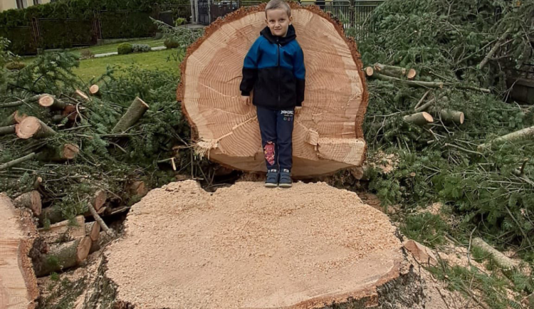 Na náměstí v Orlové se tyčí vánoční jedlovec s příběhem. Je starý více než půl století