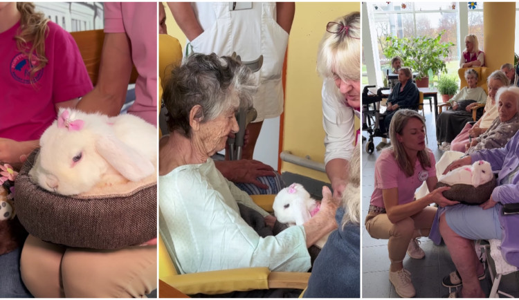 Králičí slečna Sněhurka potěšila pacienty na oddělení následné péče