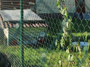 Ploty Dobrý otevřeli šestou pobočku, tentokrát v Jedousově u Pardubic