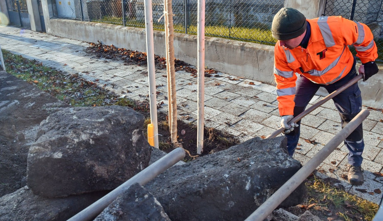 Hradečtí technici při výsadbě stromů čelí nečekaným nástrahám. Zakopané suti a odpadu