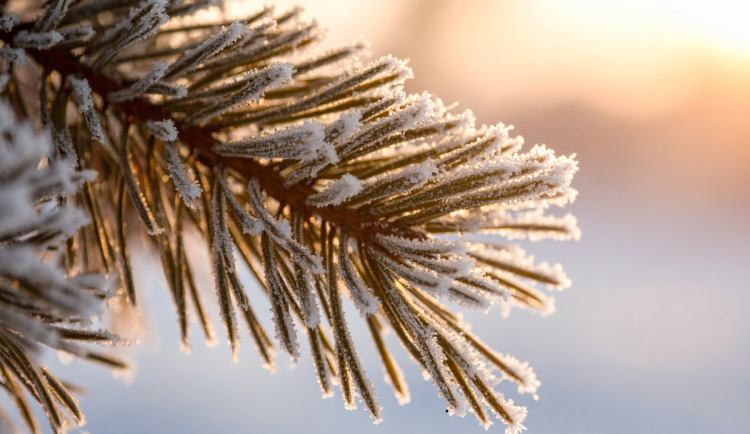 O víkendu bude v hradeckém kraji mrznout. Ojediněle může i sněžit