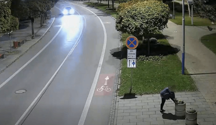 VIDEO: Ženě z Břeclavi učarovaly květiny z městských záhonů. Nosila si je domů