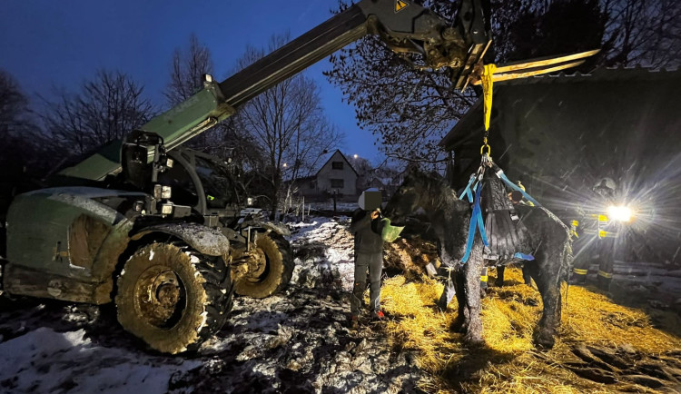 Na pomoc zesláblému koni do Rohoznic u Hořic museli přijet speciálně proškolení hasiči