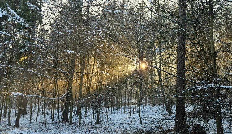 Budou letos bílé Vánoce? Jistotou jsou hory, v Ostravě je šance jen třetinová