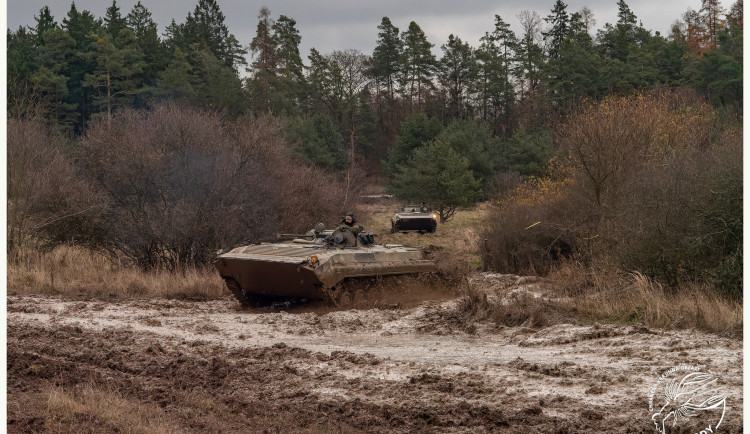 Vojenský výcvik a příroda se nevylučují. V Brdech díky tomu prospívají obojživelníci