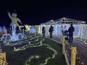 Přes deset kilometrů kabelů. Vánočně ozdobený dům v Libišanech láká tisíce lidí