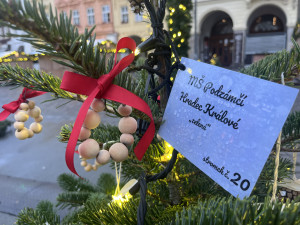 Jedle s ozdobami od dětí rozzářily centrum Hradce, hlasujte pro tu nej