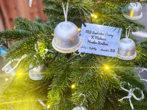 Jedle s ozdobami od dětí rozzářily centrum Hradce, hlasujte pro tu nej