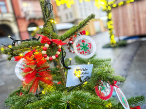 Jedle s ozdobami od dětí rozzářily centrum Hradce, hlasujte pro tu nej