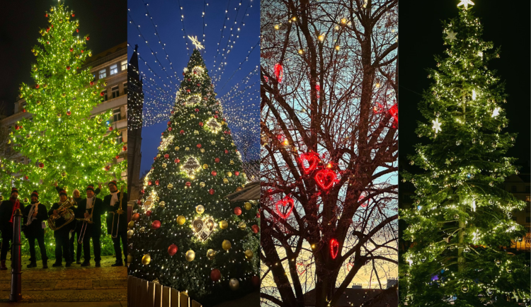 ANKETA: Která městská část má letos ten nejkrásnější vánoční strom?