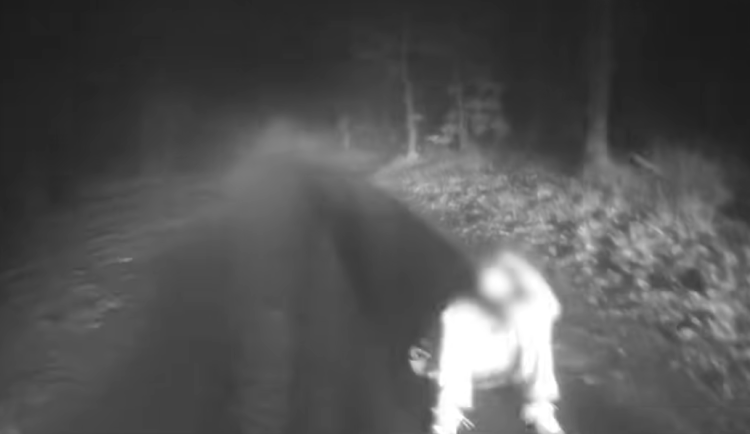 Osmdesátník zabloudil v lese u Brna. Vyčerpaného ho našel policejní psovod