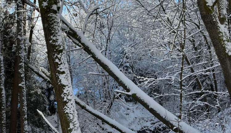 V Beskydech se lyžuje jen v Bílé, po Štědrém dni se rozjede Mezivodí